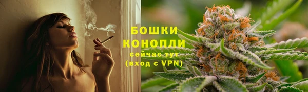 соль курить ск Богданович